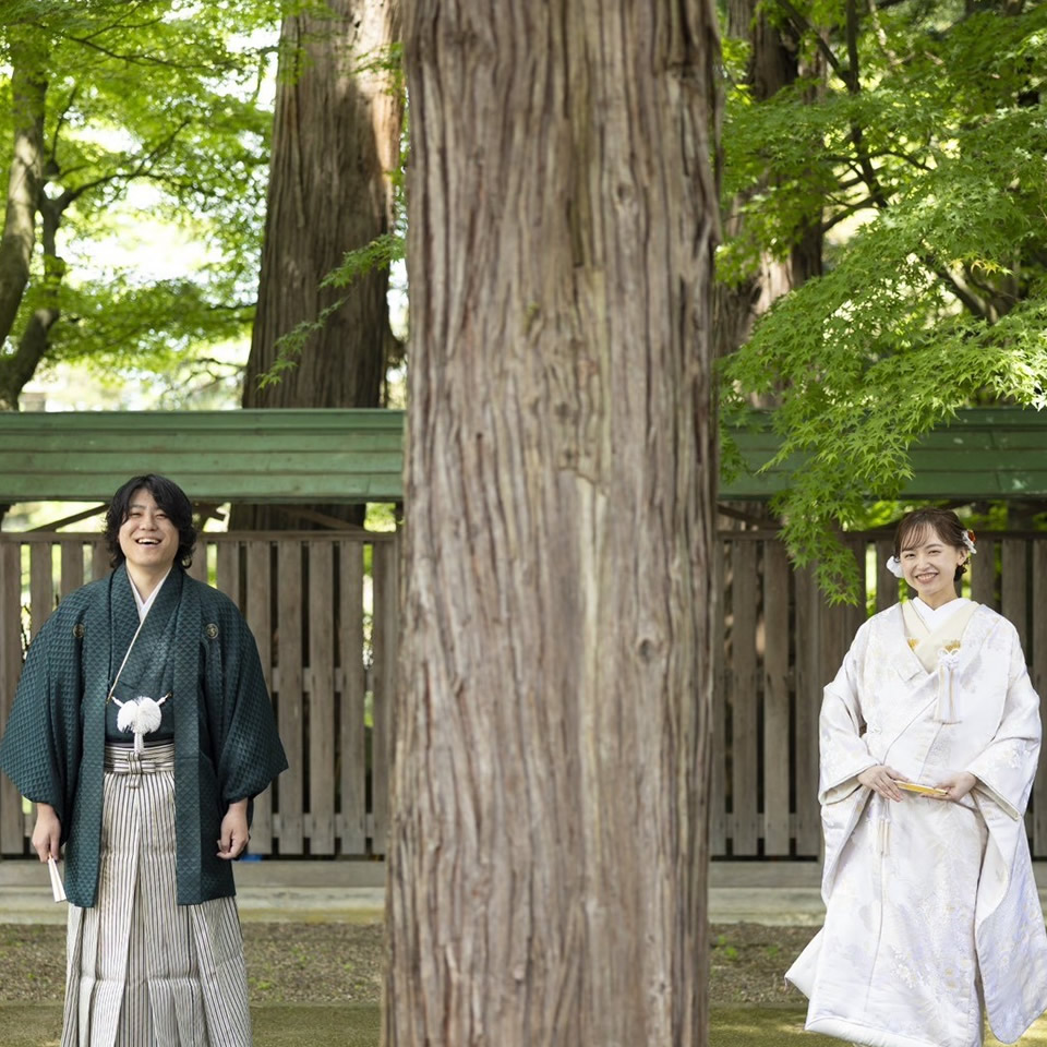 新緑ロケーションプラン